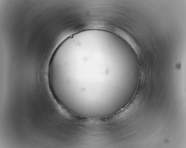 X0000102381050200808151853