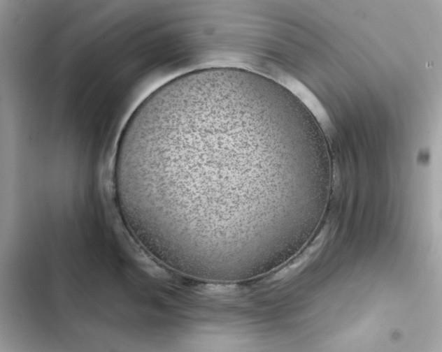 X0000102381052200808151853