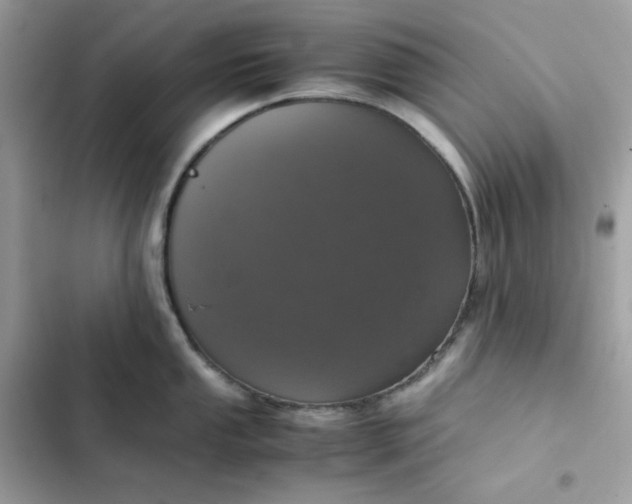 X0000102381053200808151853