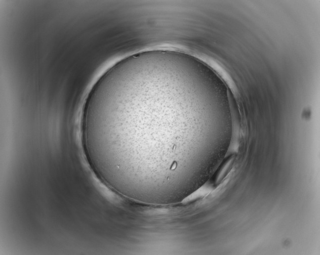 X0000102381054200808151853