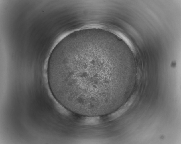 X0000102381055200808151853