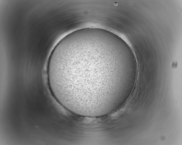 X0000102381056200808151853