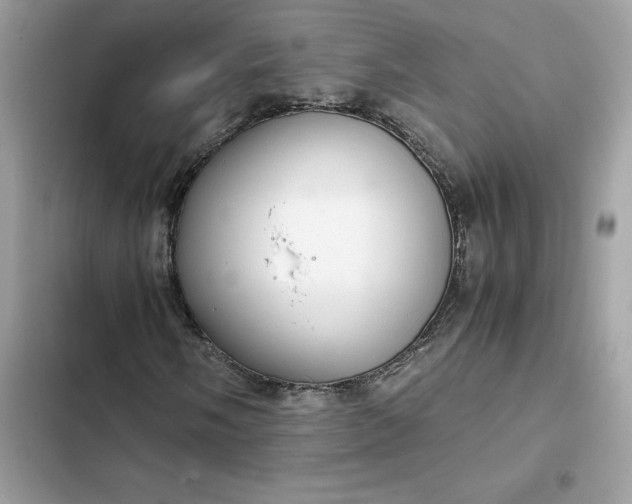 X0000102381058200808151852