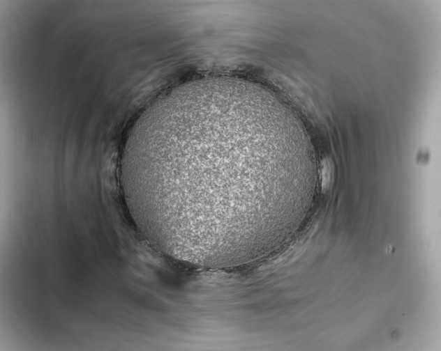 X0000102381059200808151852