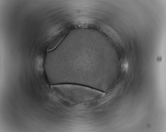 X0000102381060200808151852