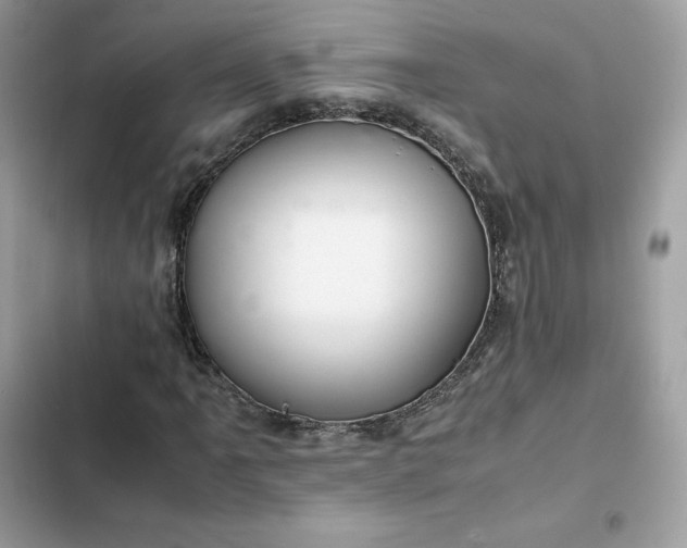 X0000102381061200808151852