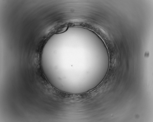 X0000102381062200808151852