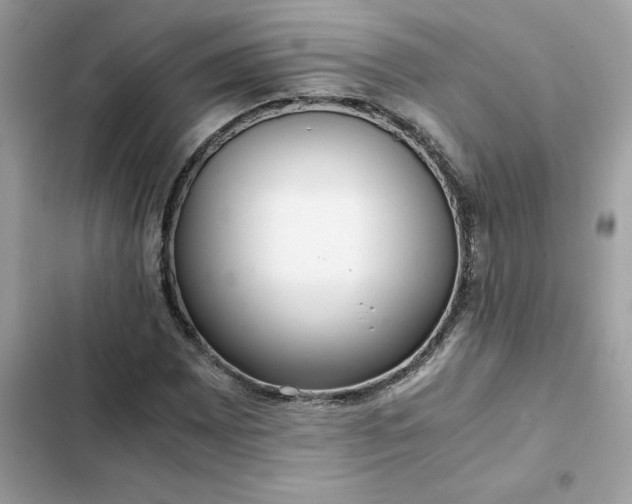 X0000102381065200808151852