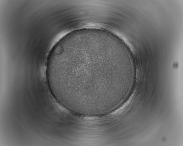 X0000102381066200808151852