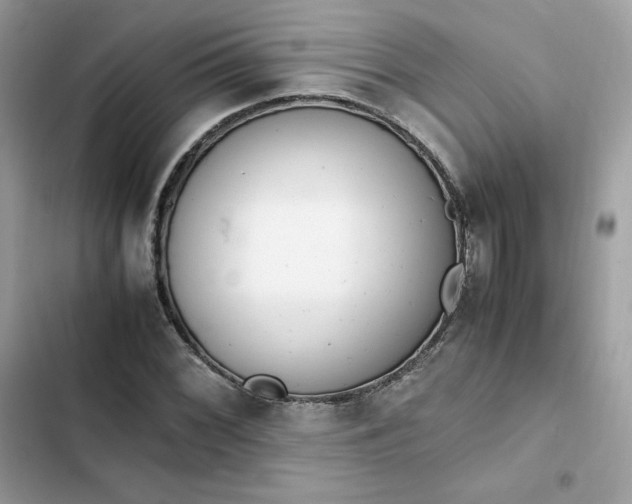 X0000102381068200808151852