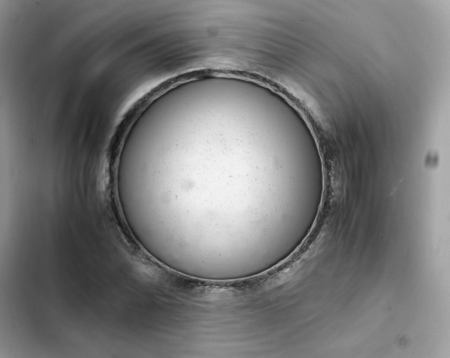 X0000102381070200808151852