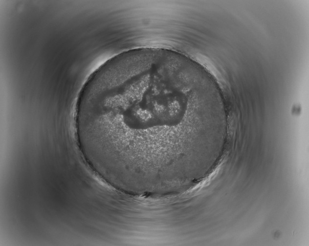 X0000102381071200808151852