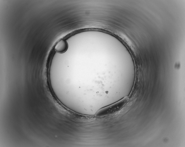 X0000102381072200808151852