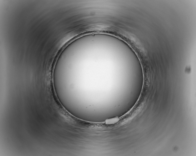 X0000102381073200808151852