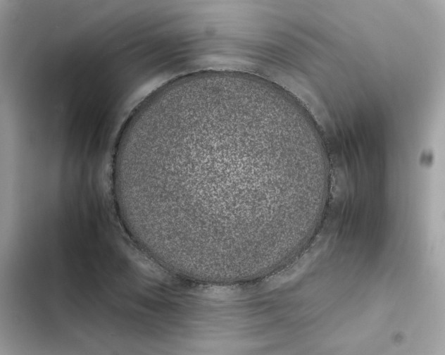 X0000102381074200808151852