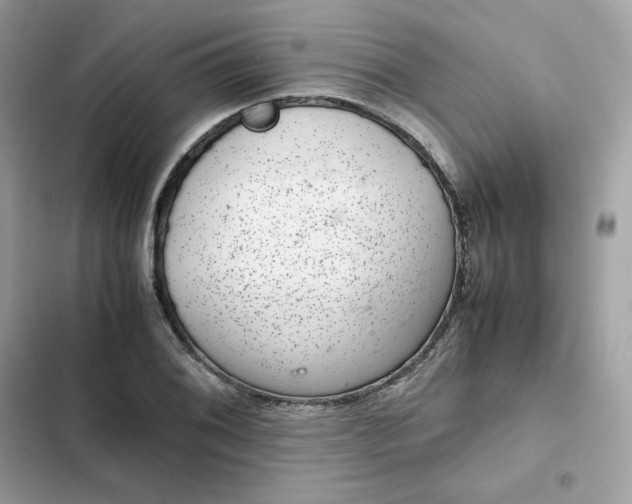 X0000102381076200808151852