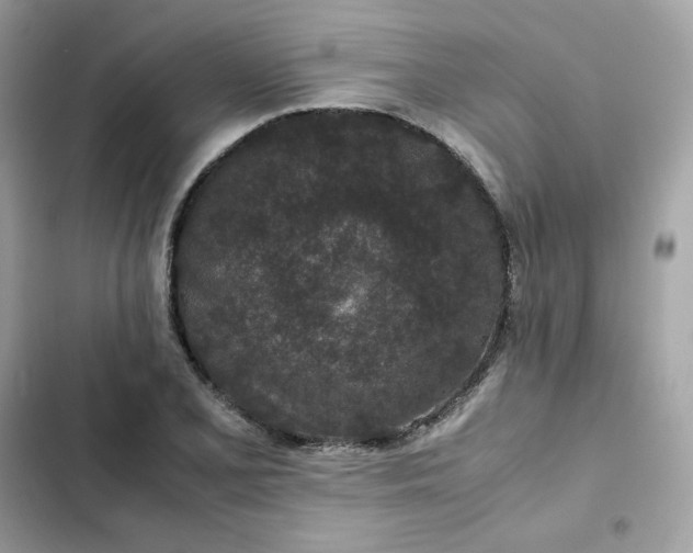 X0000102381077200808151852