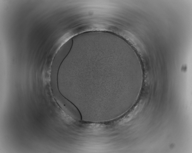 X0000102381081200808151852