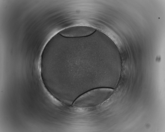 X0000102381084200808151852