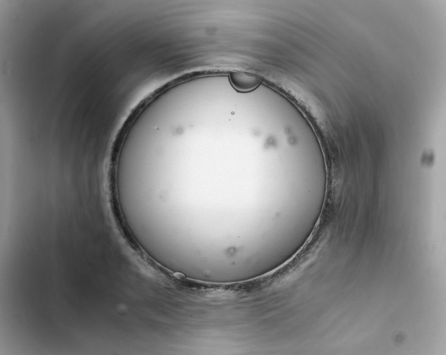 X0000102381085200808151852