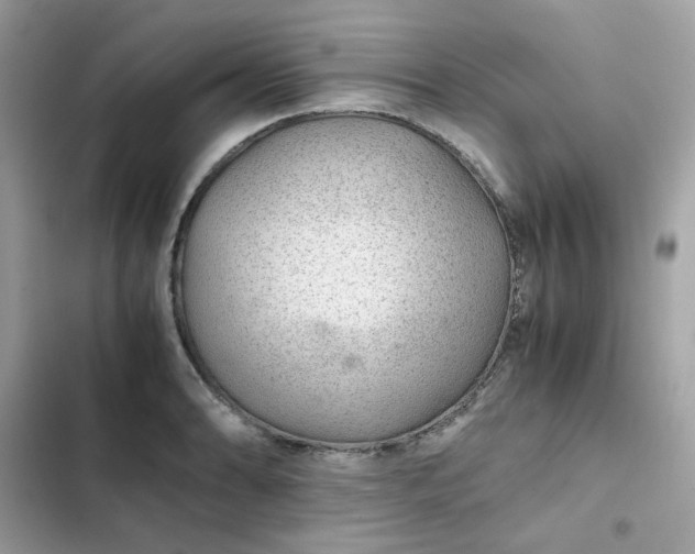 X0000102381086200808151852