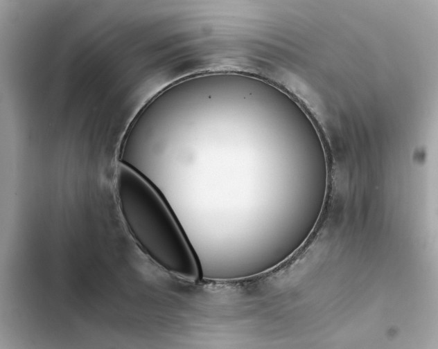 X0000102381089200808151852