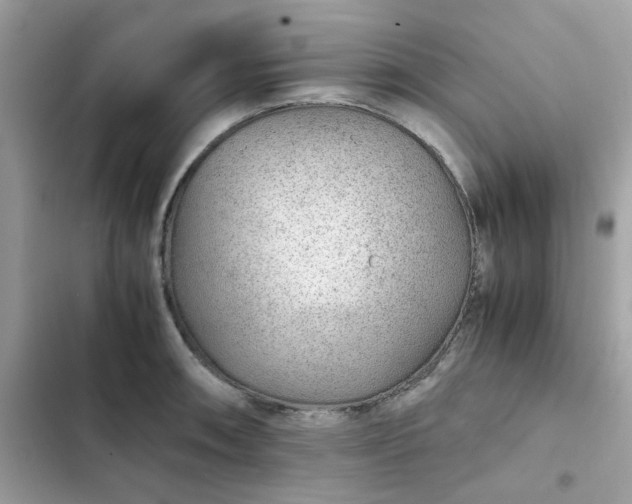 X0000102381090200808151852