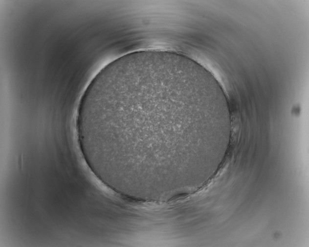 X0000102381091200808151852