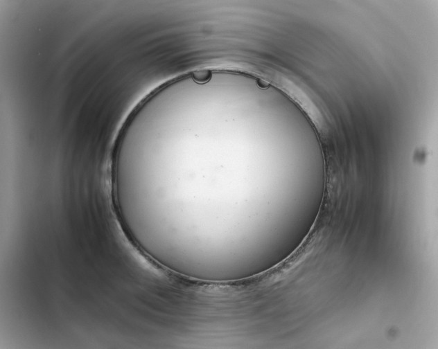 X0000102381092200808151852