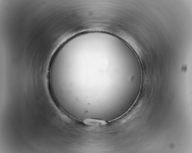 X0000102381093200808151852