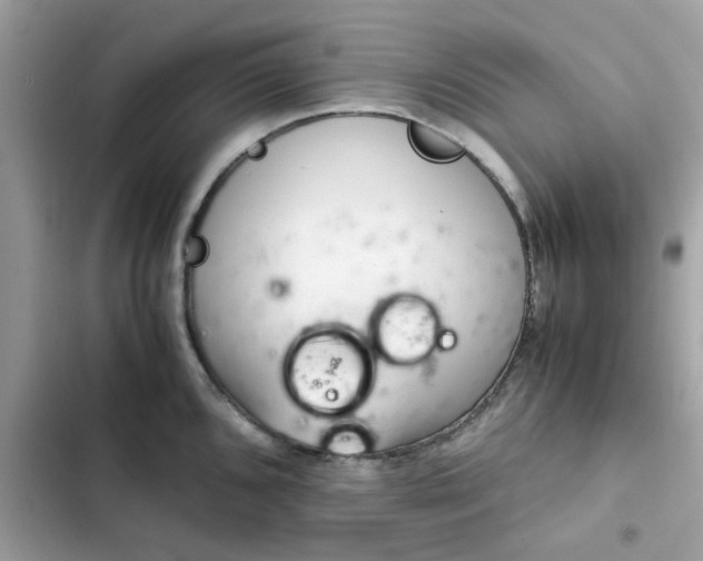 X0000102381096200808151852