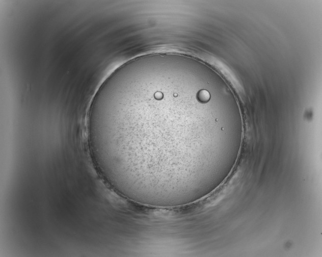 X0000102381097200808151852