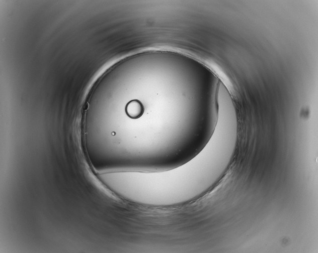 X0000102381100200808151852