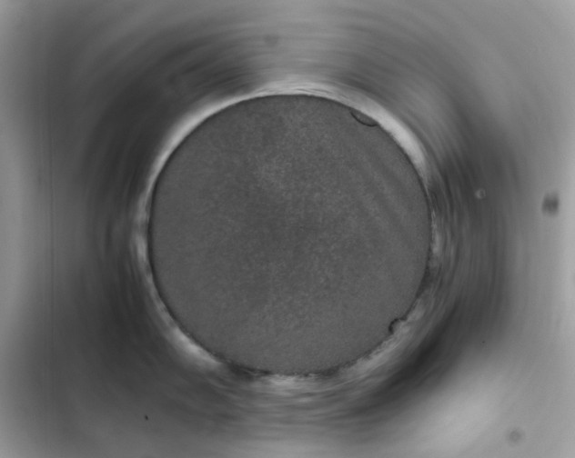 X0000102381102200808151852