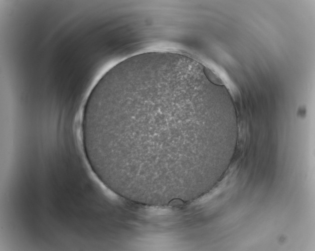 X0000102381103200808151852