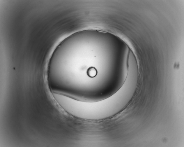 X0000102381104200808151852