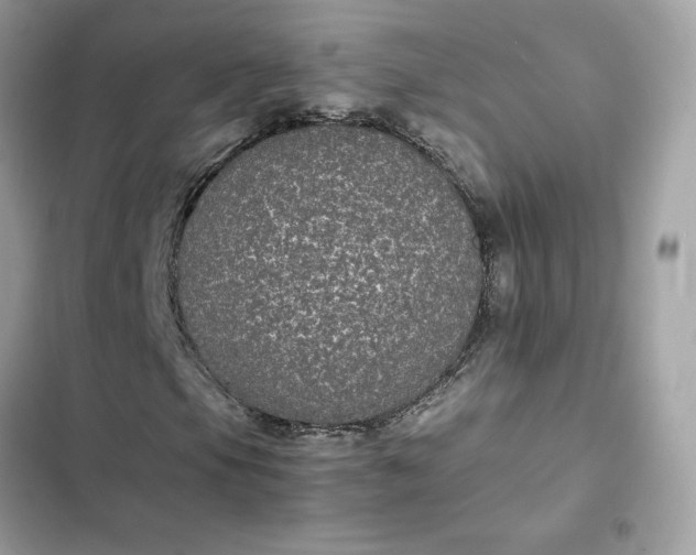 X0000102381105200808151851