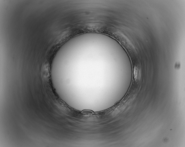 X0000102381107200808151851