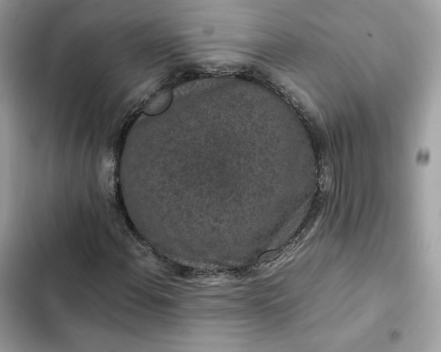 X0000102381108200808151851