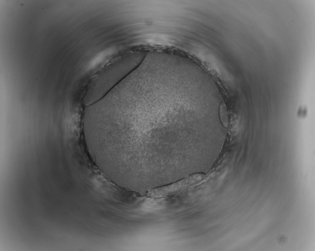 X0000102381110200808151851