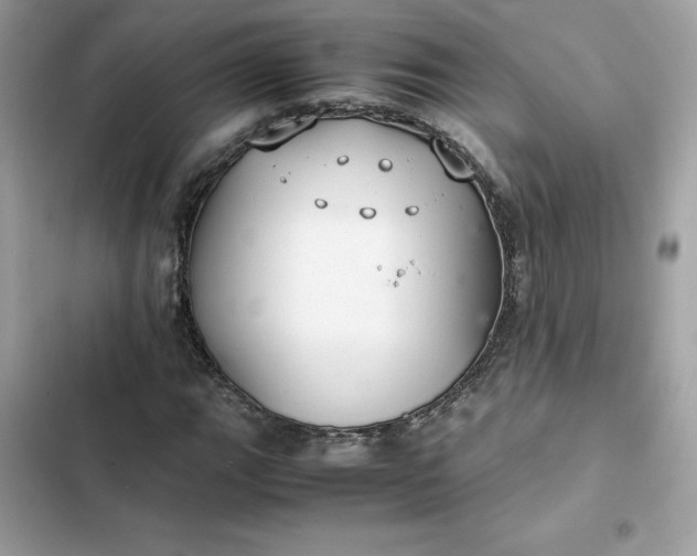 X0000102381111200808151851