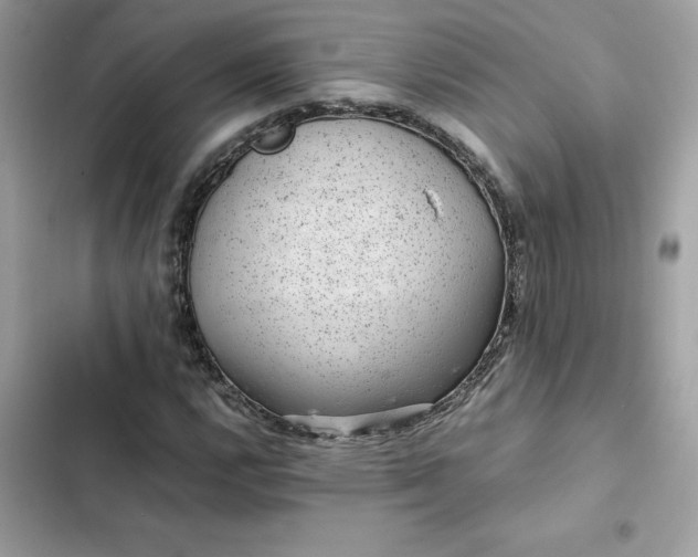 X0000102381112200808151851