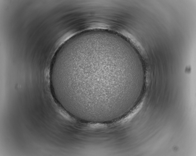 X0000102381113200808151851