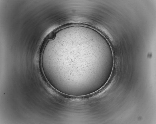 X0000102381114200808151851