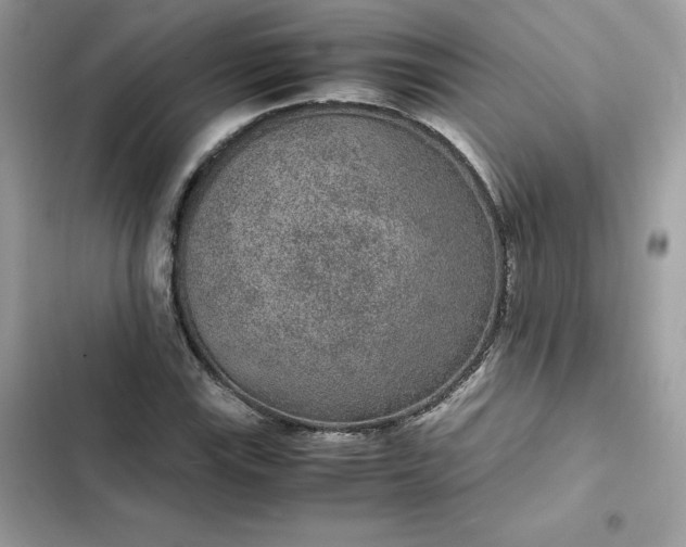 X0000102381115200808151851