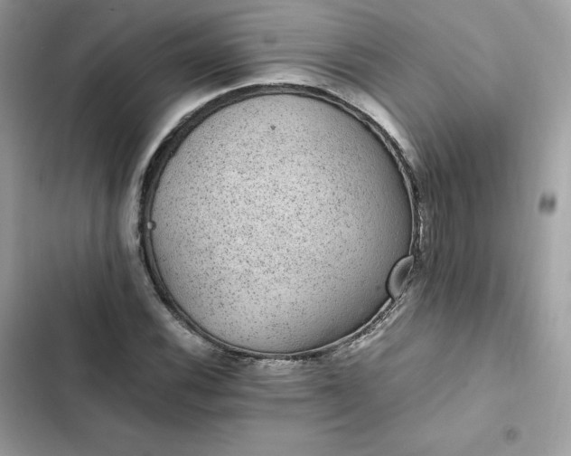 X0000102381116200808151851