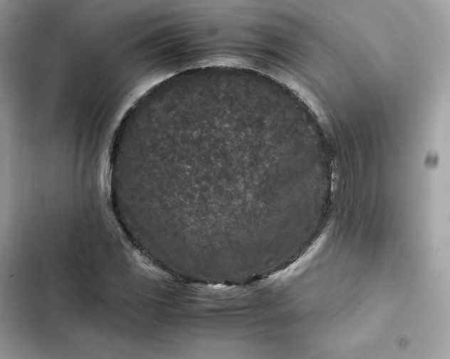 X0000102381117200808151851