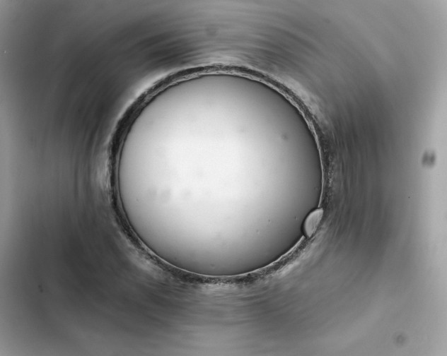 X0000102381118200808151851