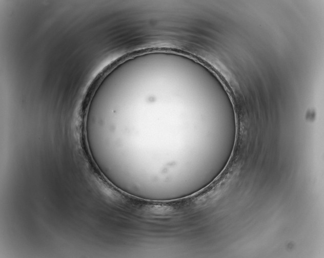 X0000102381119200808151851