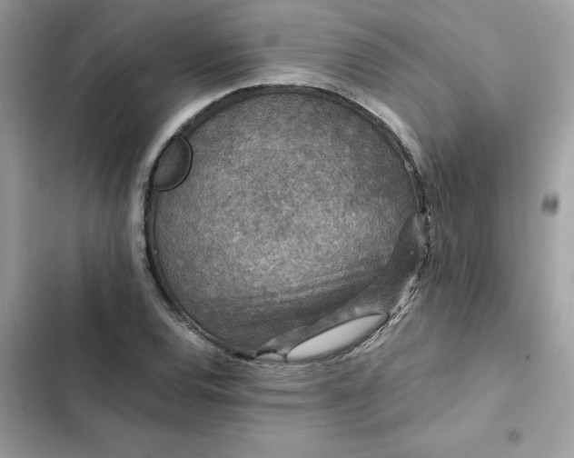 X0000102381120200808151851